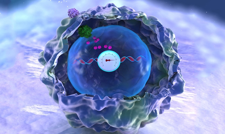 New Virus Fear Factor