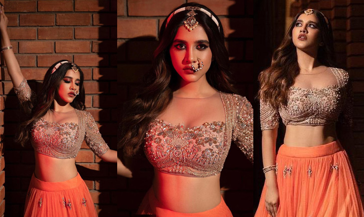 Nabha Natesh