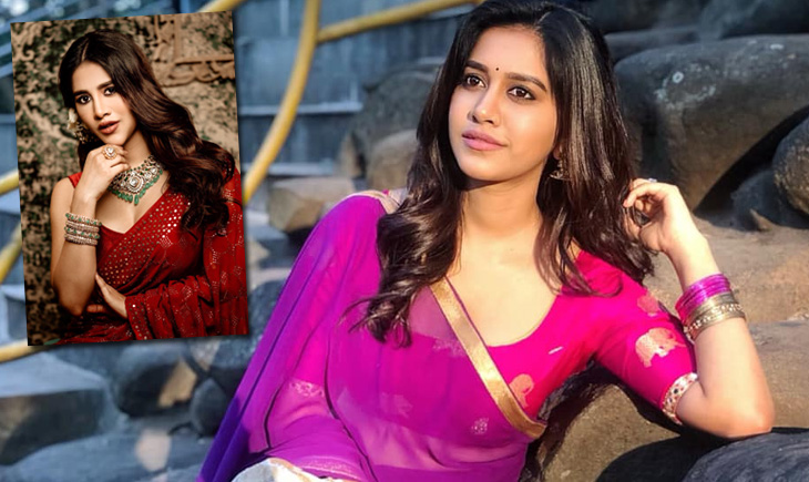 Nabha Natesh