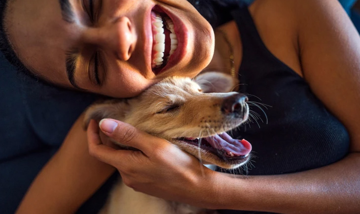 Pet Dogs Lip Locks