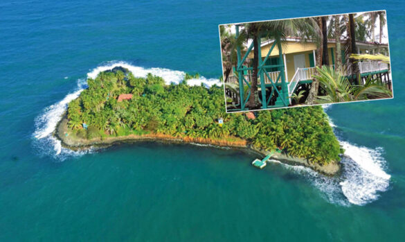 Iguana Island