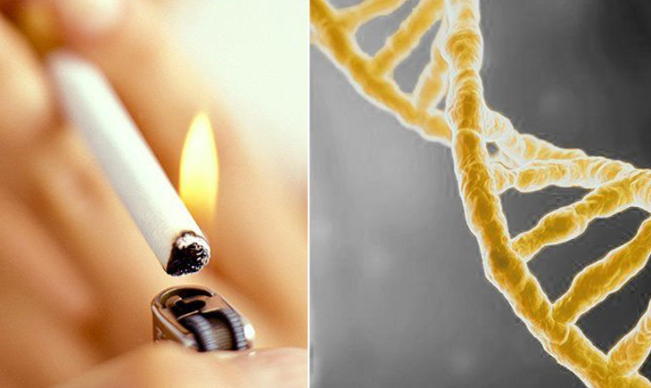 Cancer Smoking Prevention