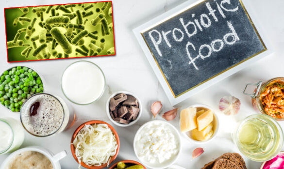 Probiotic Food