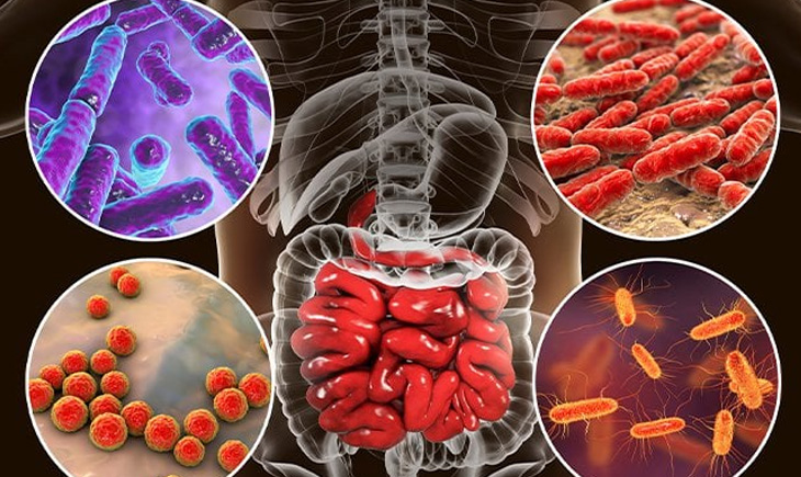ProBiotics Health Benifits