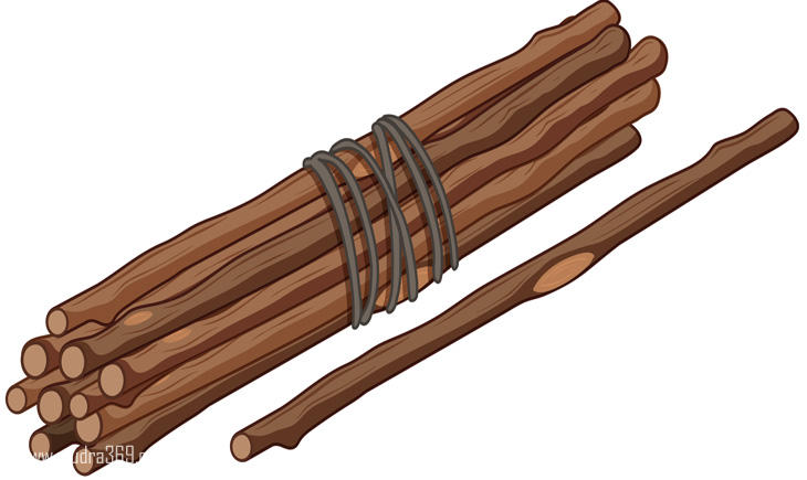 Stick Tirumala Cheetah Devotees Stick