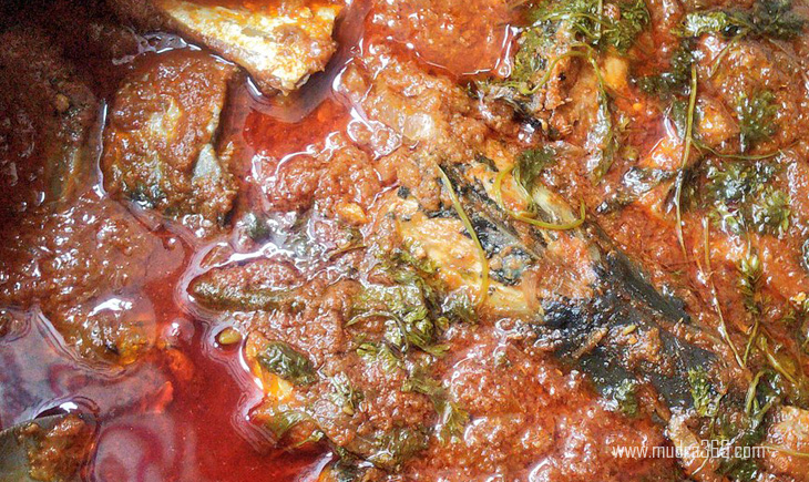Pulasa Fish Godavari
