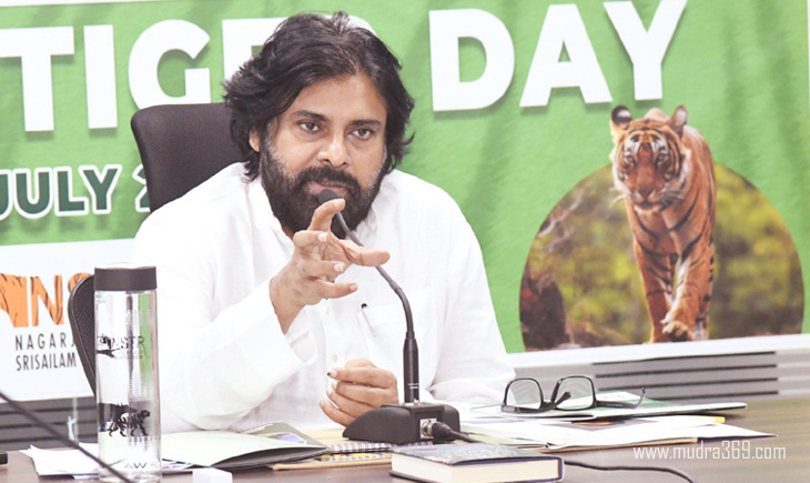 Pawan Kalyan Jana Sainiks Political Sensation