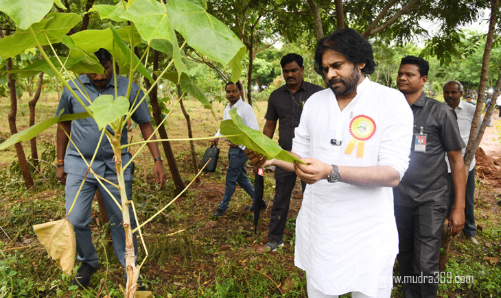 Pawan Kalyan Vana Mahotsavam