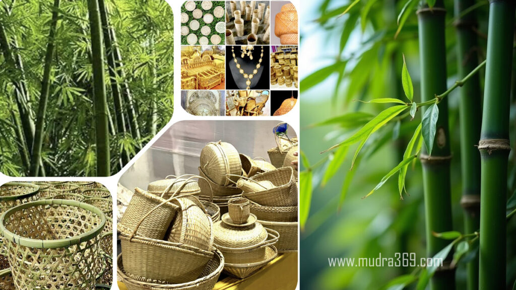 Bamboo Products