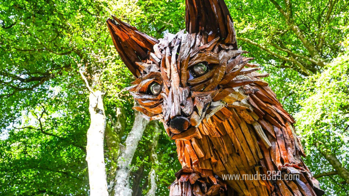 Cornish Red Rhododendron Fox Tree