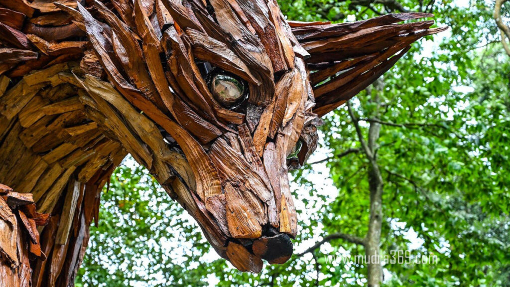 Cornish Red Rhododendron Fox Tree