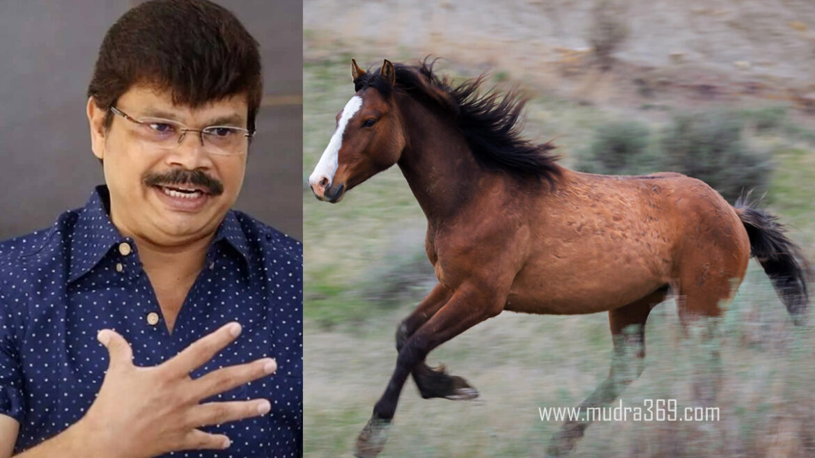 Horse Running Speed Boyapati Srinu