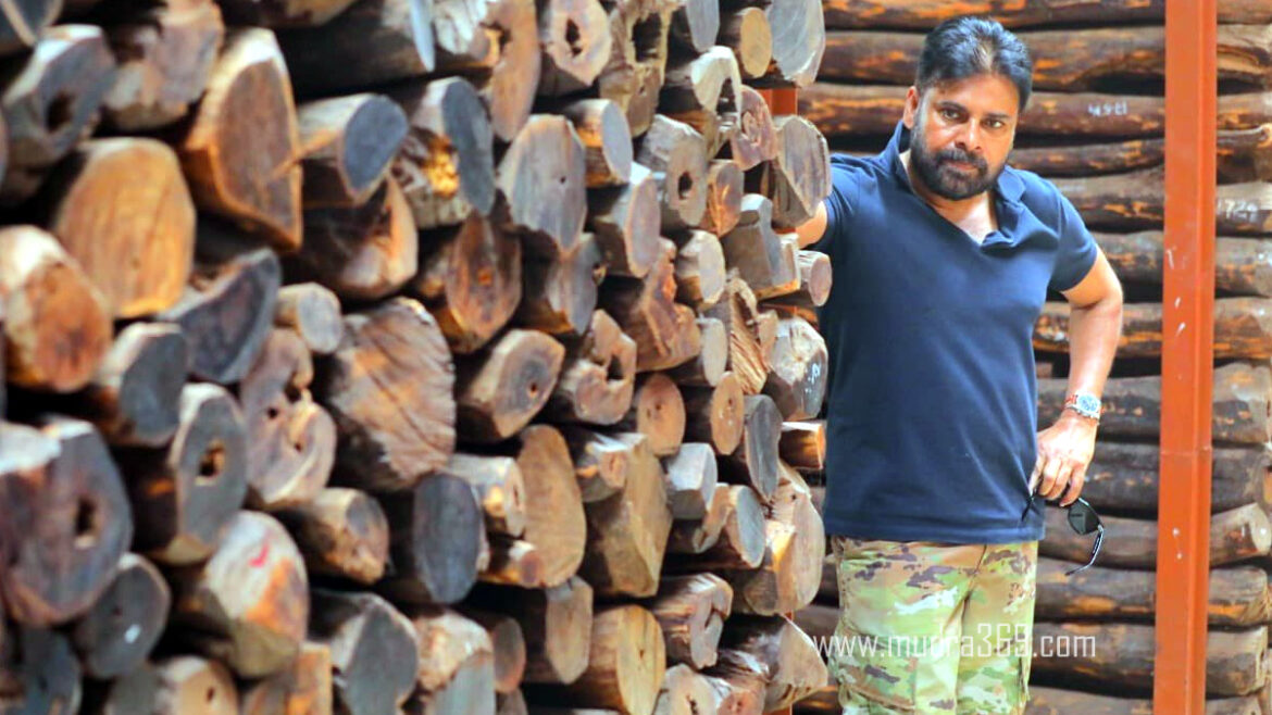 Pawan Kalyan Red Sandal