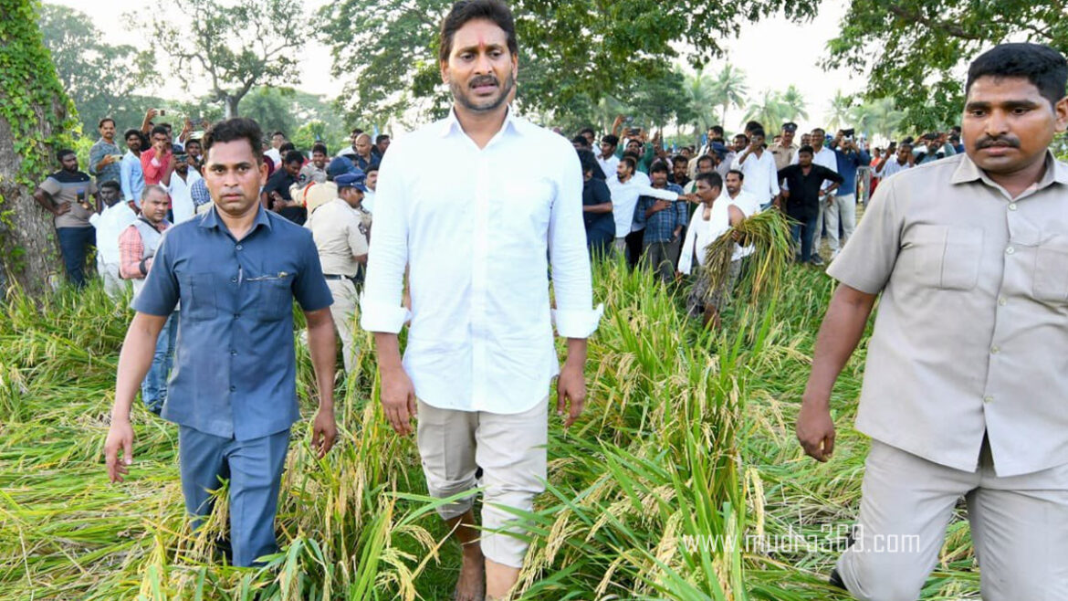 Ys Jagan Mohan Reddy Paddy