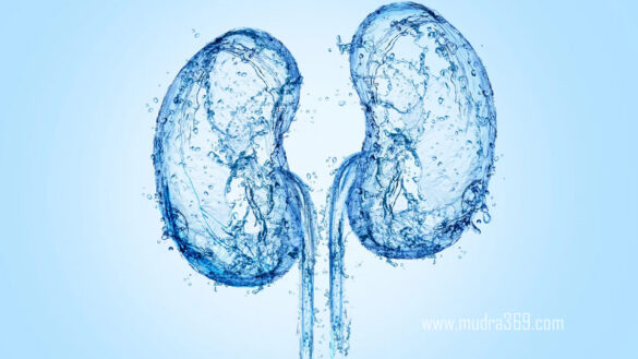 Kidney Health Drinking Water