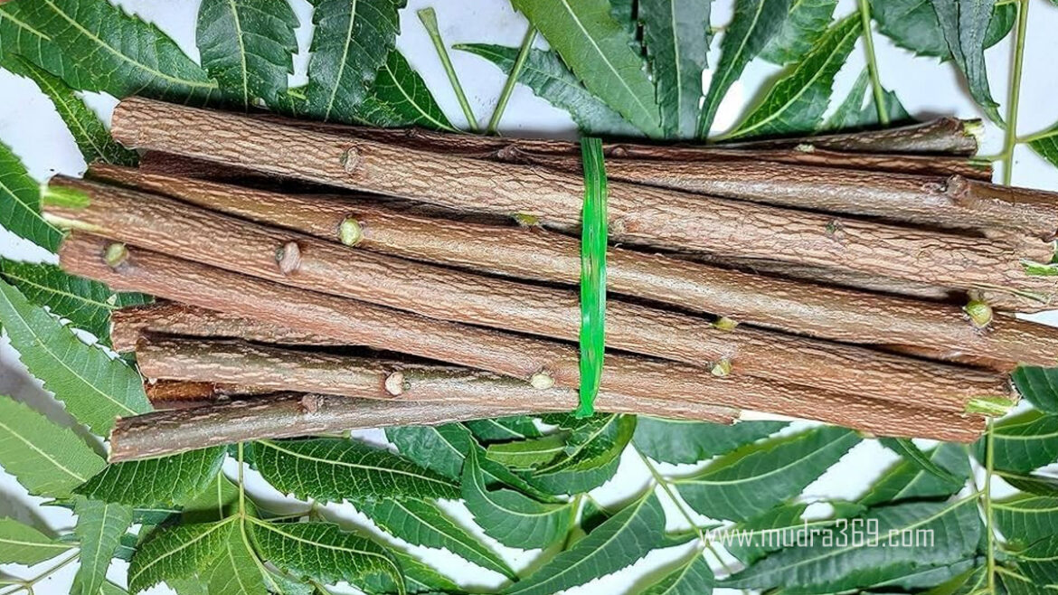 Neem Stick