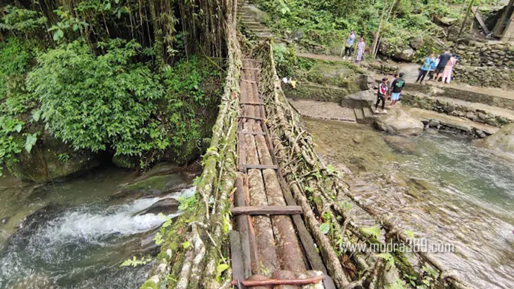 Double Decker Living Root Bridge Meghalaya